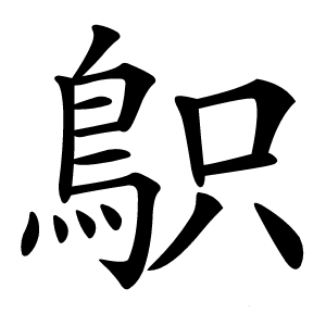 䳅怎么读