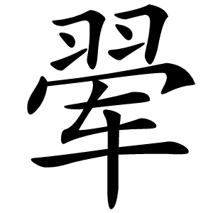 翚怎么读