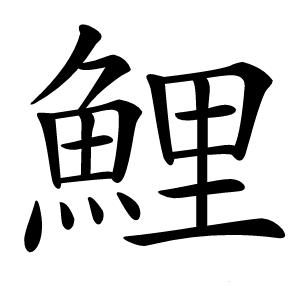 鯉怎么读