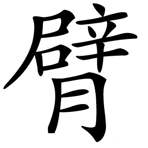 臂怎么读