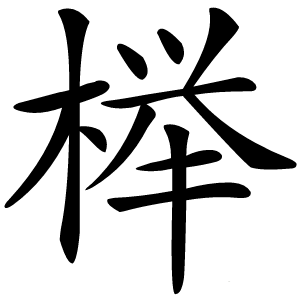 榉怎么读