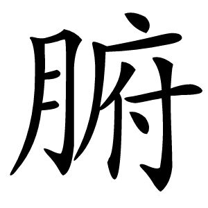 腑怎么读