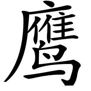 鹰怎么读