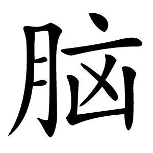 脑怎么读