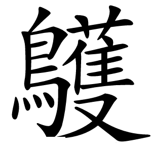 鸌怎么读