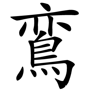 鵉怎么读