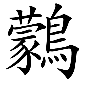鸏怎么读