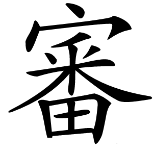審怎么读