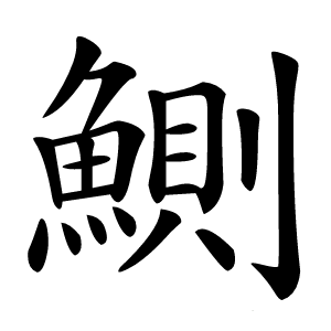 鰂怎么读