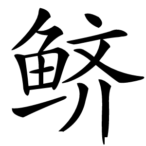 鲚怎么读