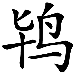 鸨怎么读