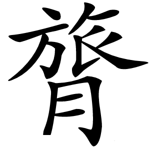 膂怎么读