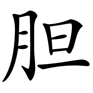 胆怎么读
