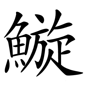 䲂怎么读