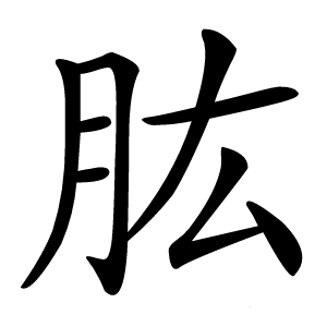 肱怎么读