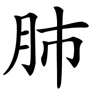 肺怎么读