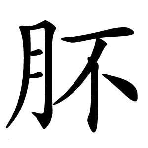 肧怎么读