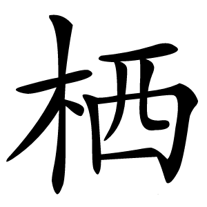 栖怎么读
