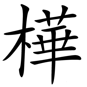樺怎么读