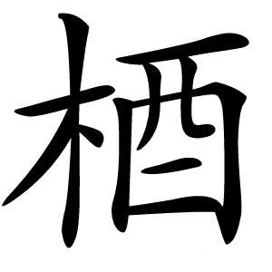 梄怎么读