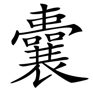 囊怎么读