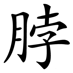 脖怎么读