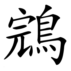 鵍怎么读
