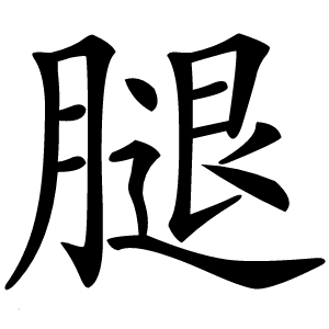 腿怎么读