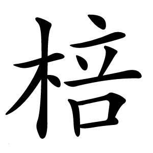 棓怎么读