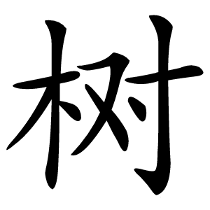 树怎么读