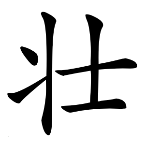 壮怎么读