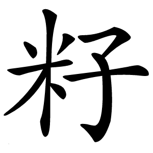 籽怎么读