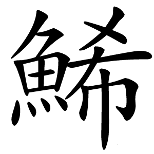 鯑怎么读