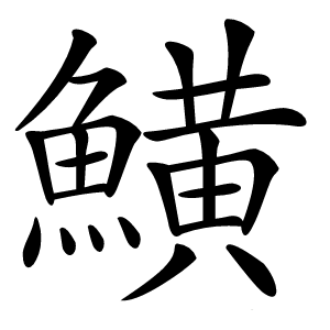 鱑怎么读
