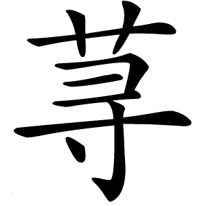 荨怎么读