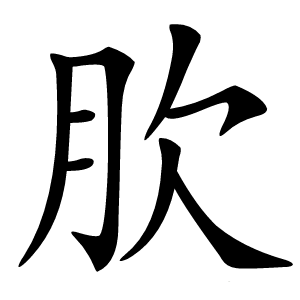 肷怎么读