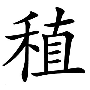 稙怎么读