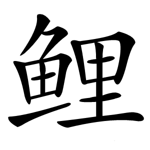 鲤怎么读