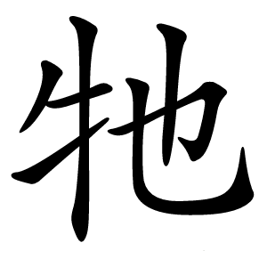 牠怎么读