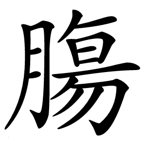 膓怎么读