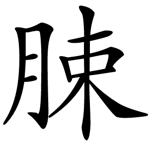 脨怎么读