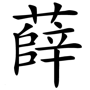 薛怎么读
