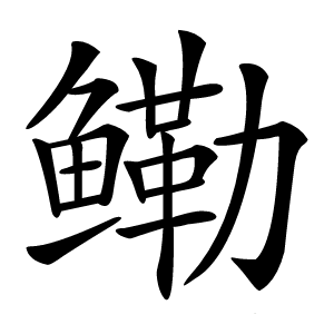 鳓怎么读