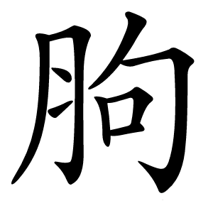 胊怎么读