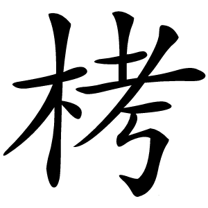 栲怎么读