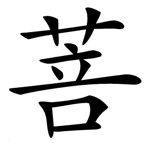 菩怎么读