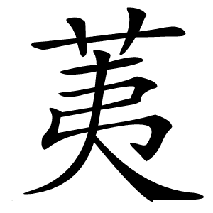 荑怎么读