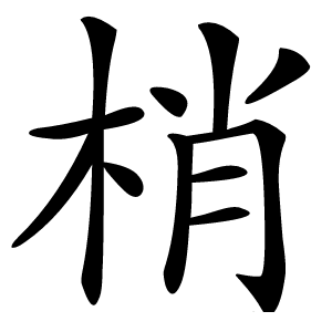 梢怎么读