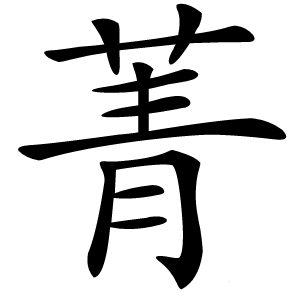菁怎么读