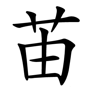 苖怎么读